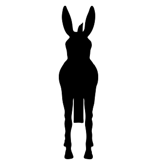 Donkey Silhouette Graphic PNG with transparent background