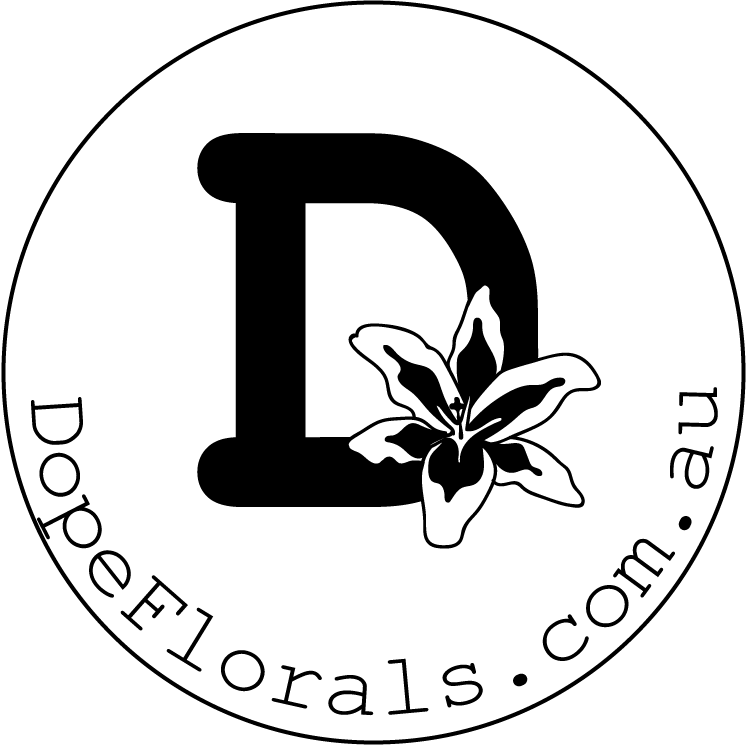 Melbourne, HD Png Download PNG with transparent background