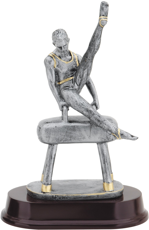 Double Action Resin Trophy For Males Competing In Gymnastics - Gymnastic Trophies For Men, HD Png Download PNG with transparent background
