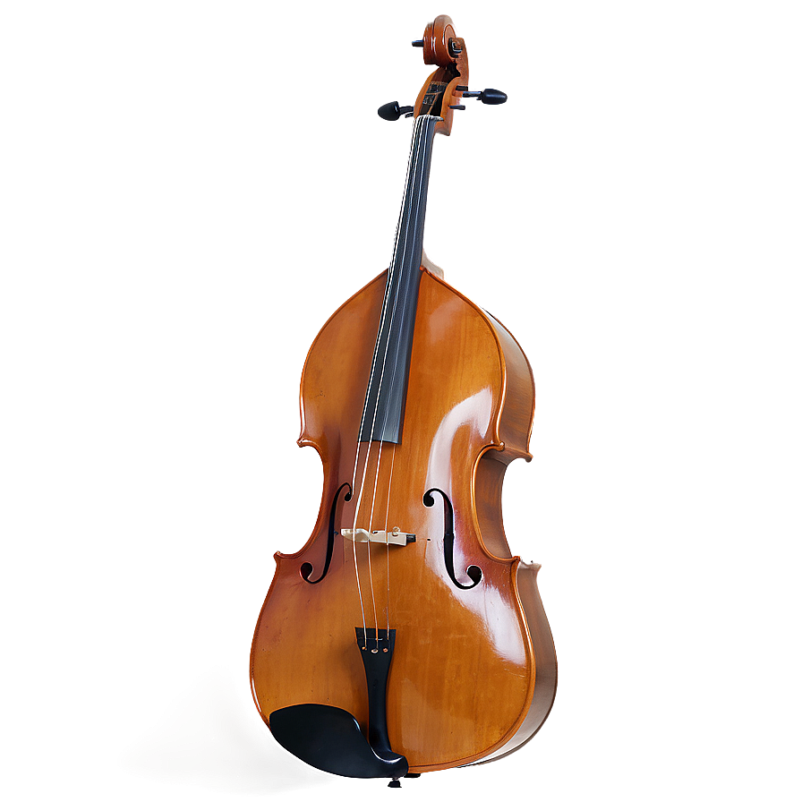 Double Bass With Roses Png 8