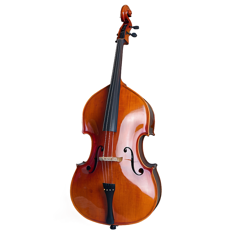 Double Bass With Roses Png Rsd