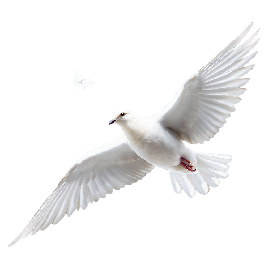 Dove Clipart Png Eyg