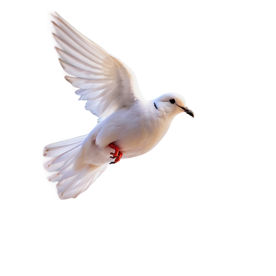 Dove Clipart Png Luu28