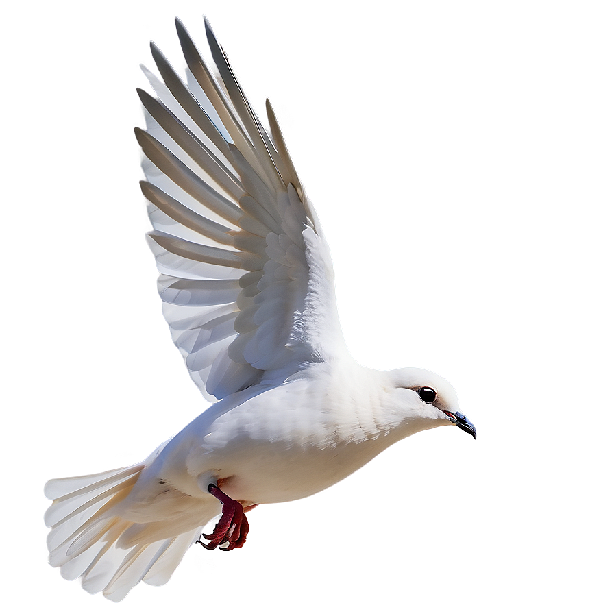 Dove In Flight Clipart Png Tsb