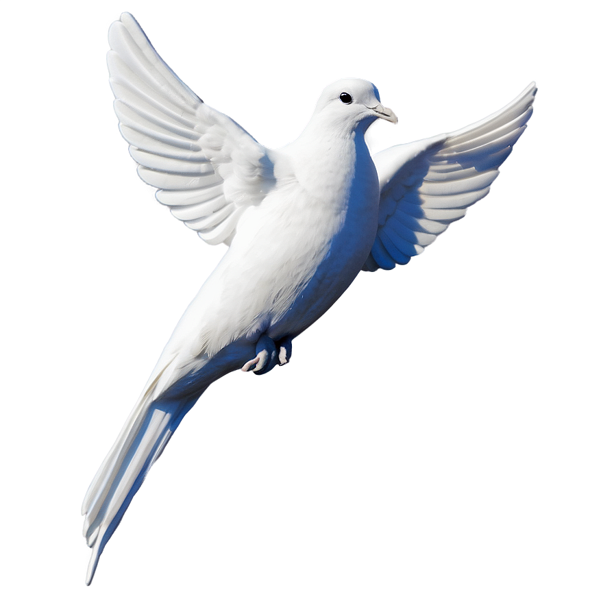 Dove Memorial Png Hrm17