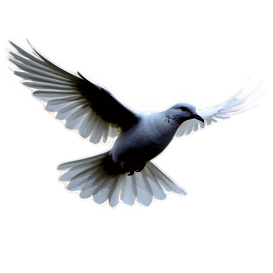 Dove Silhouette Clipart Png 29