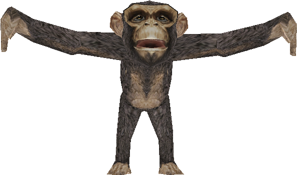 Download Zip Archive - Monkey, HD Png Download PNG with transparent background
