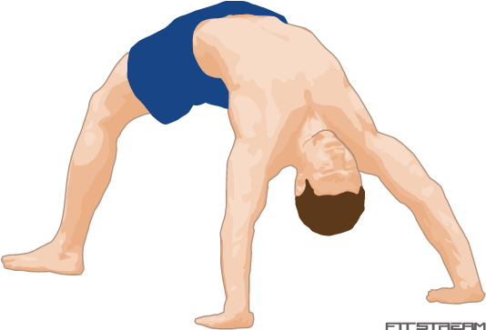 Downward Dog Yoga Pose Illustration