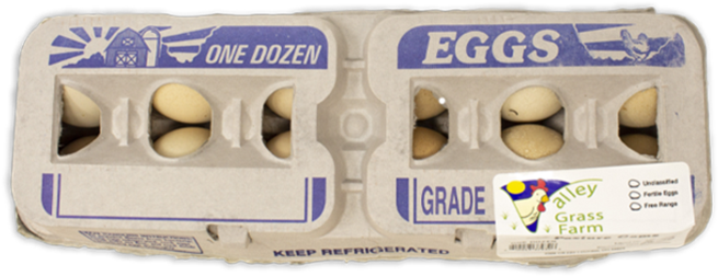 Dozen Eggs Carton Top View