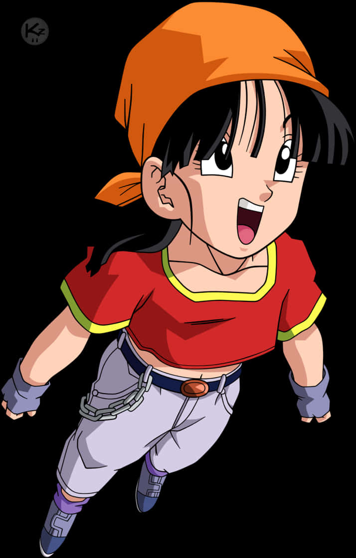 Dragon Ball Z Animated Character Pan