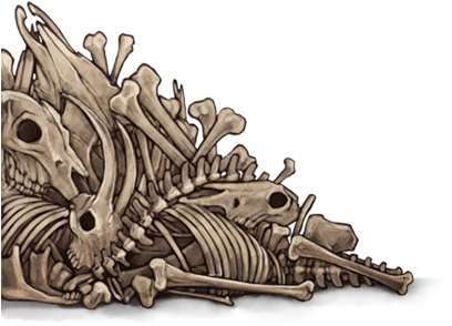 Dragon Skeleton Artwork PNG with transparent background