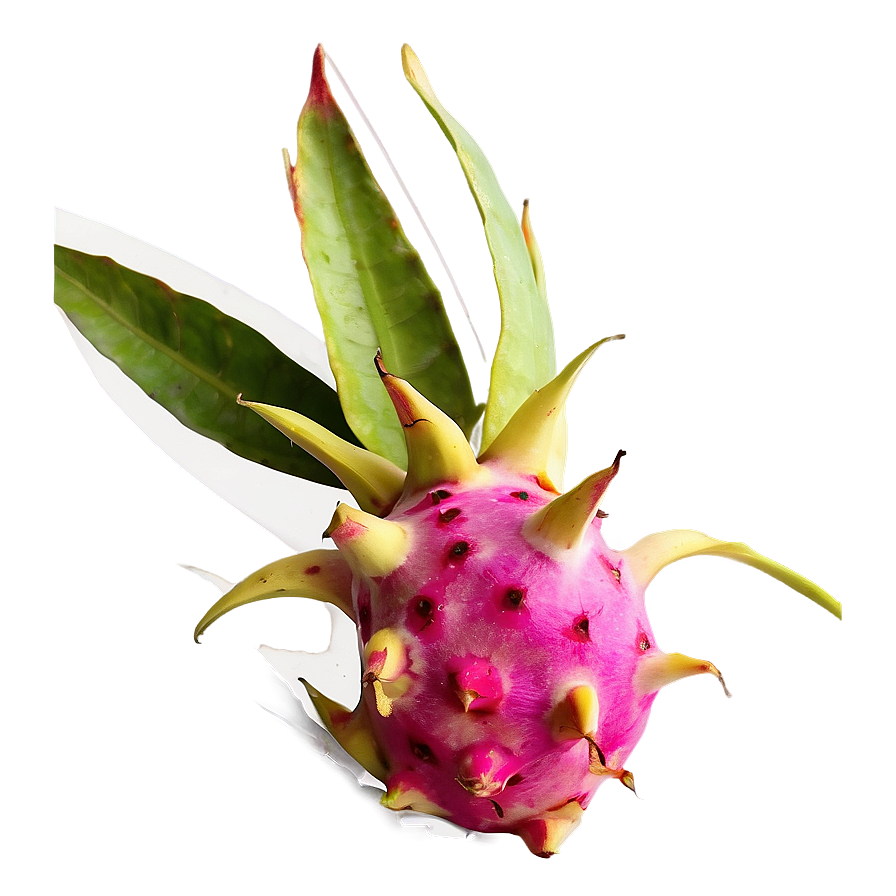 Dragonfruit On Kitchen Counter Png 06122024