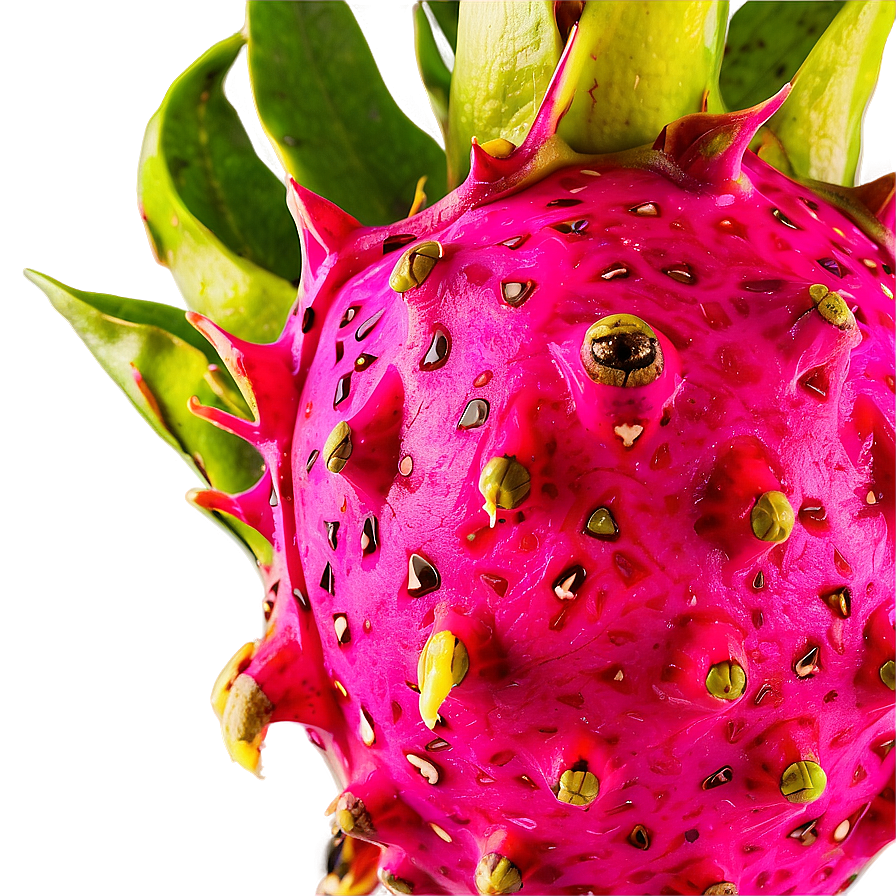 Dragonfruit Pulp Closeup Png 21