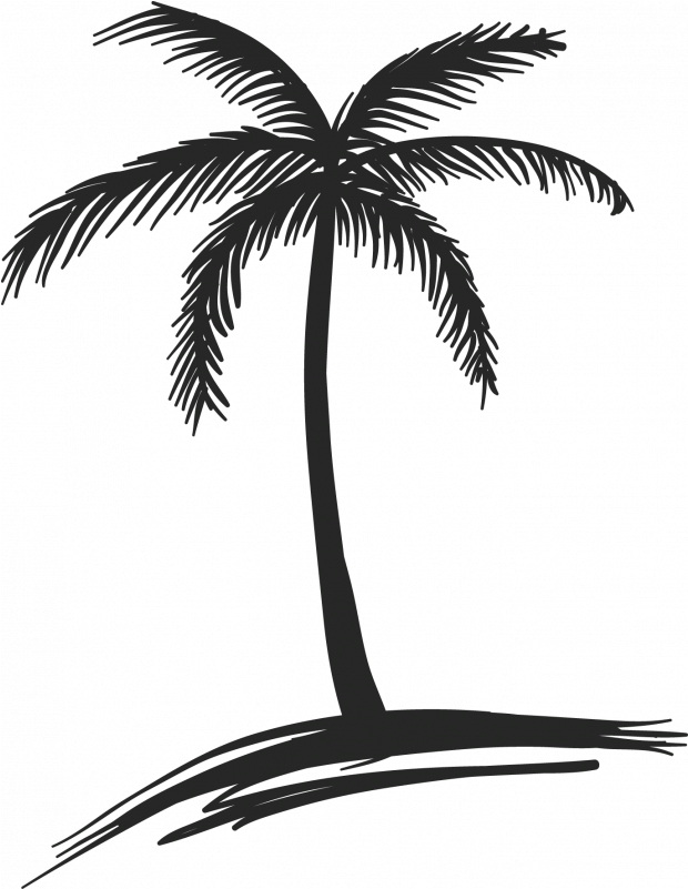 Drawing Coconut Arecaceae Tree Watercolor Painting - Coconut Tree Drawing Png, Transparent Png PNG with transparent background