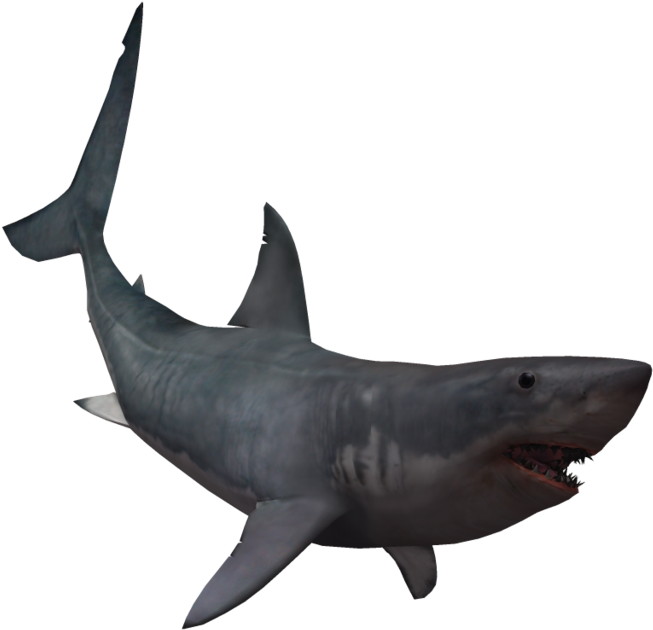 Drawing Shark Real Svg Library Download - Giant Shark No Background PNG with transparent background