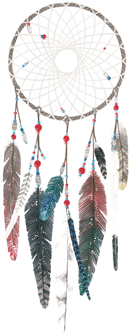 Dreamcatcher Traditional Craft PNG with transparent background