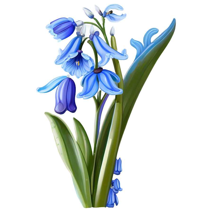 Dreamy Bluebell Png Kxd