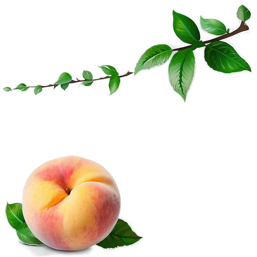 Dreamy Peach Picture Png 59