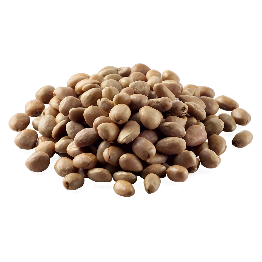 Dried Beans Png 47