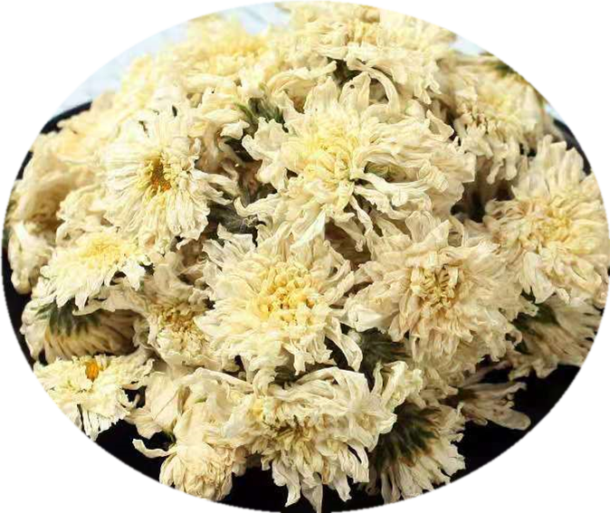 Dried Chrysanthemum Flowers Top View