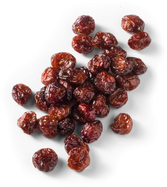 Cranberry Vector Single - Seedless Fruit, HD Png Download PNG with transparent background