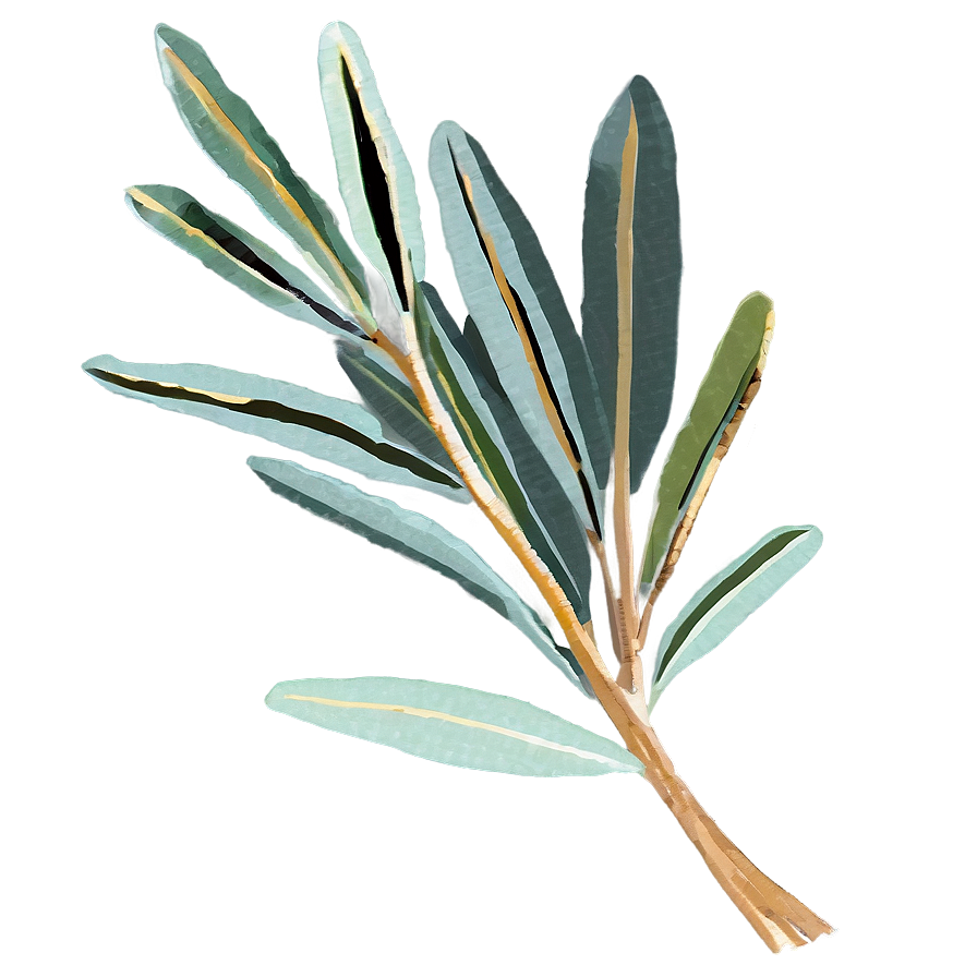 Dried Eucalyptus Bundle PNG ptu PNG image with a transparent background, free high-resolution download
