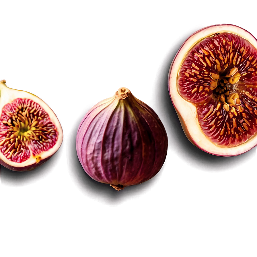 Dried Fig Graphic Png 83