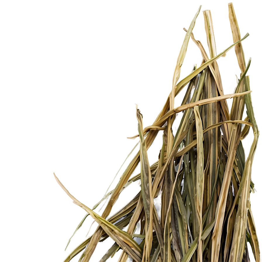 Dried Grass Clippings Png 49