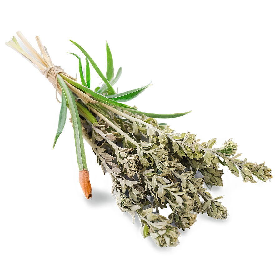 Dried Herb Png 06272024