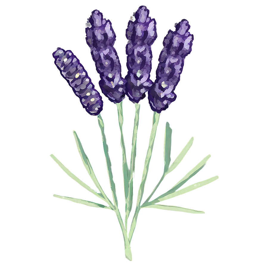 Dried Lavender Decor Png 06282024