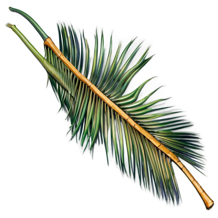 Dried Palm Leaves Png 05252024