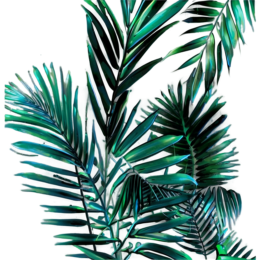 Dried Palm Leaves Png Lwe9