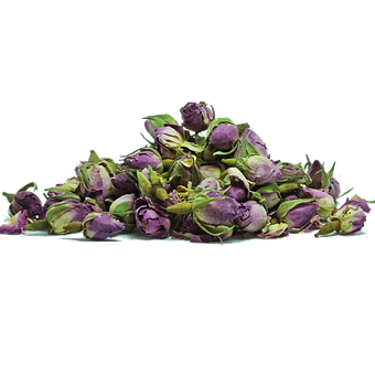 Dried Rose Buds Still Life PNG with transparent background