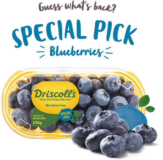 Image Special Pick Call Out V2 Aug - Driscoll's Blueberries, HD Png Download PNG with transparent background