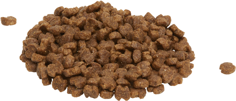 Dry Dog Food Pile