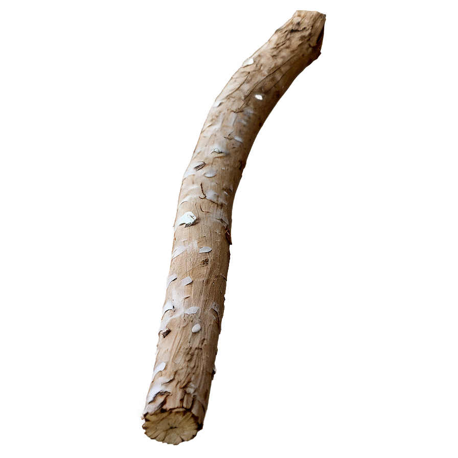 Dry Twig Png Owu