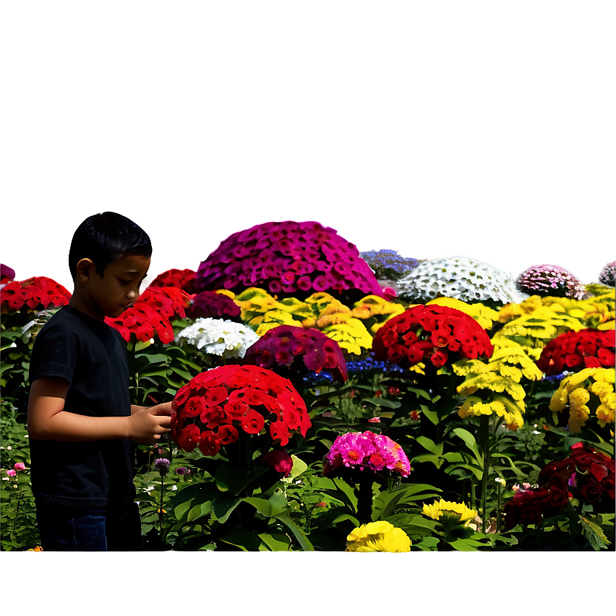 Dubai Miracle Garden Png 88