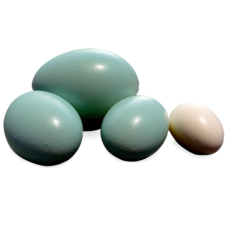 Duck Eggs Png 71