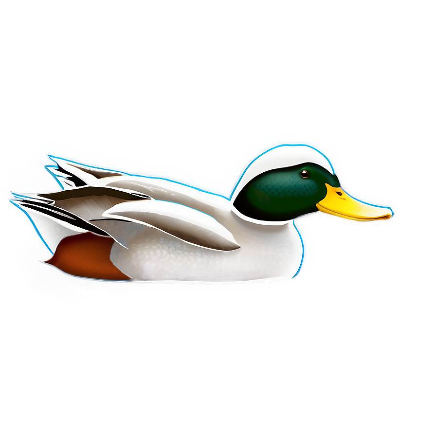 Duck Swimming Png 05032024