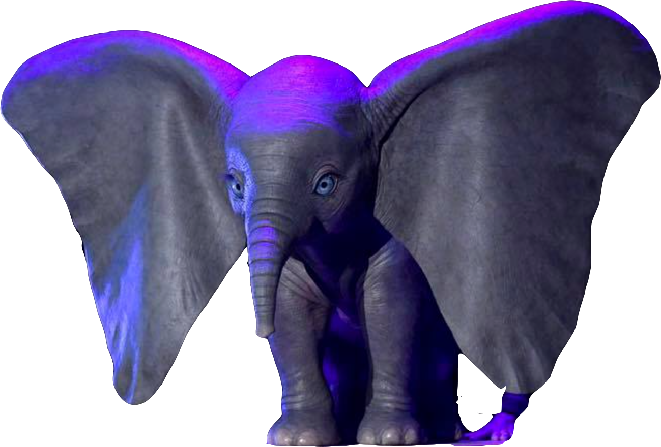 Logodumbo2019 - Dumbo Transparent Background 2019, HD Png Download PNG with transparent background