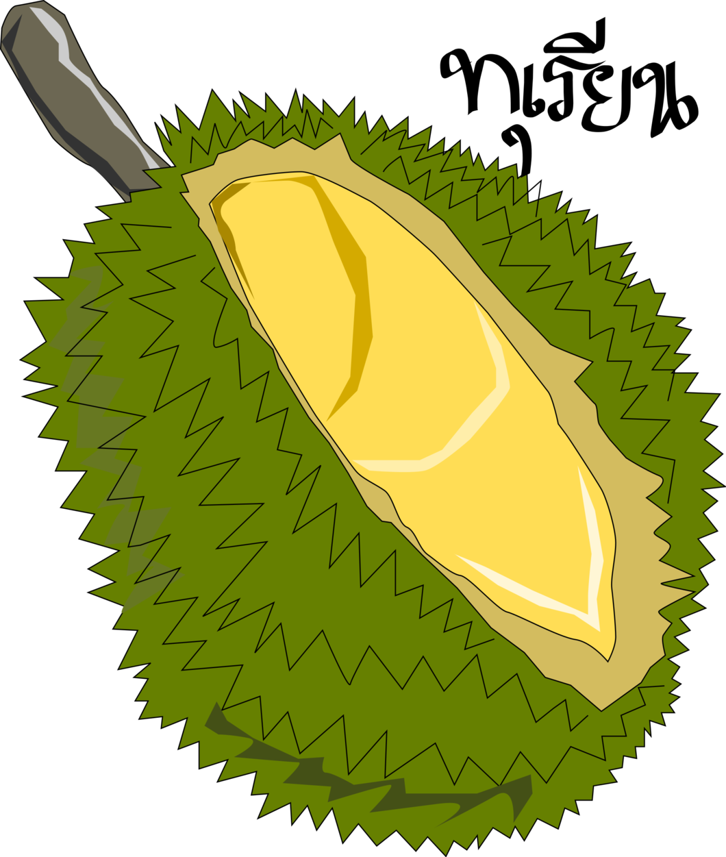 Durian Fruit Illustration