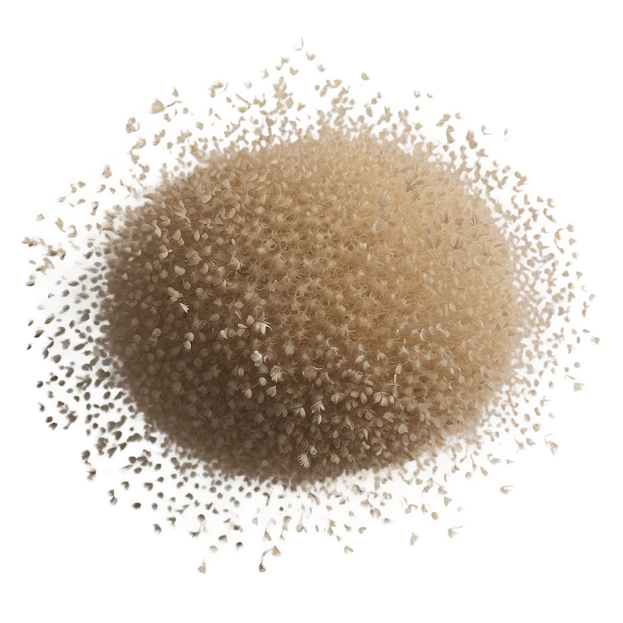 Dust Particles In Morning Light Png Rek