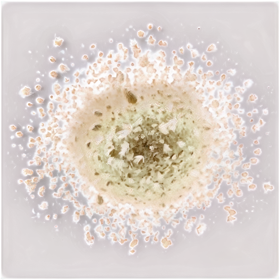 Dust Particles Texture PNG 47 PNG with transparent background