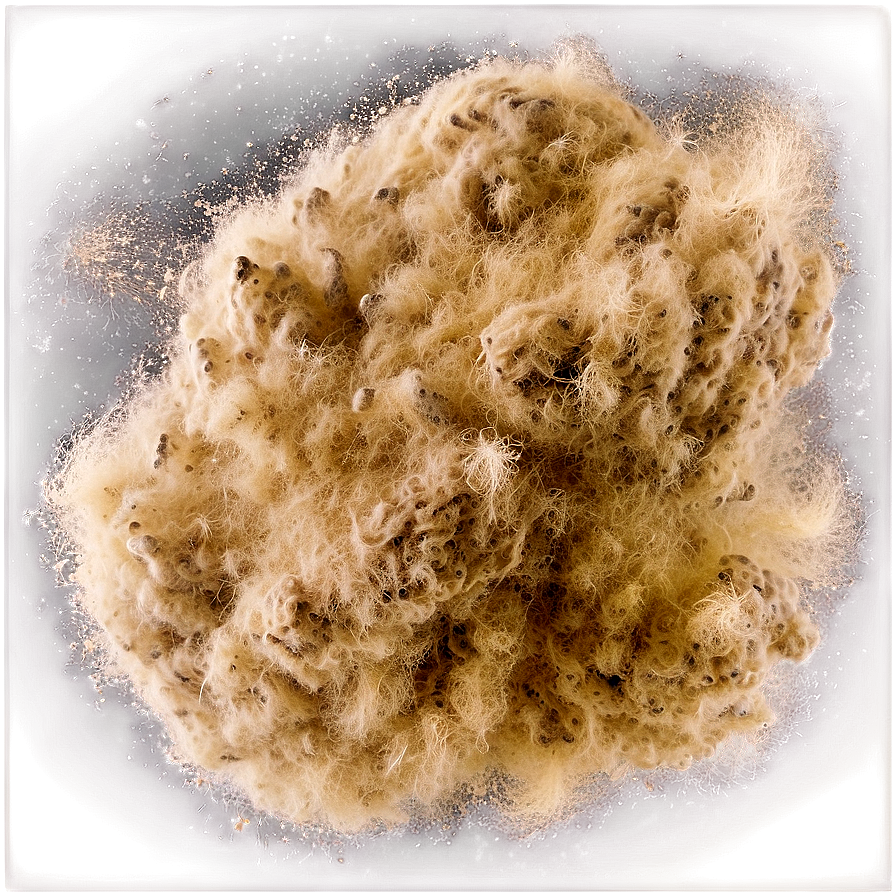 Dust Particles Texture PNG say77 PNG with transparent background
