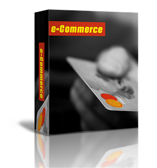 E Commerce Book Cover