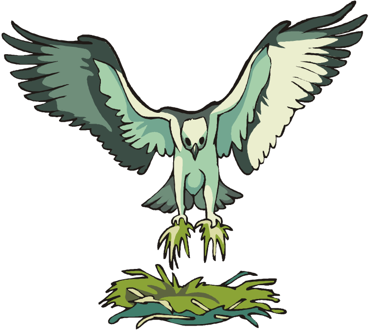 Free Hawk Clipart - Hawks Nest Clip Art, HD Png Download PNG image with a transparent background, free high-resolution download
