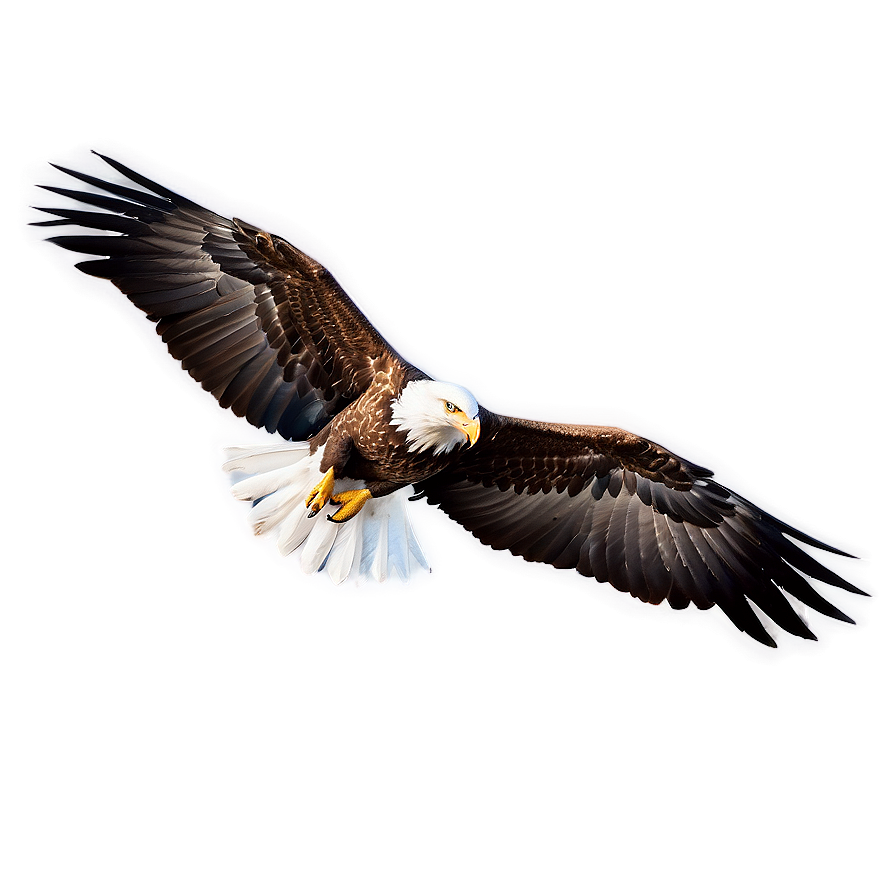 Eagle Wings In Flight Png Loo89