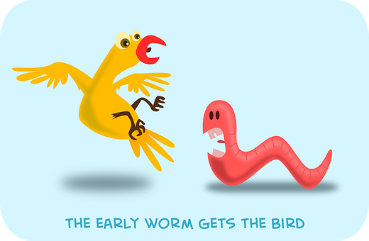 Early Worm Gets The Bird PNG with transparent background
