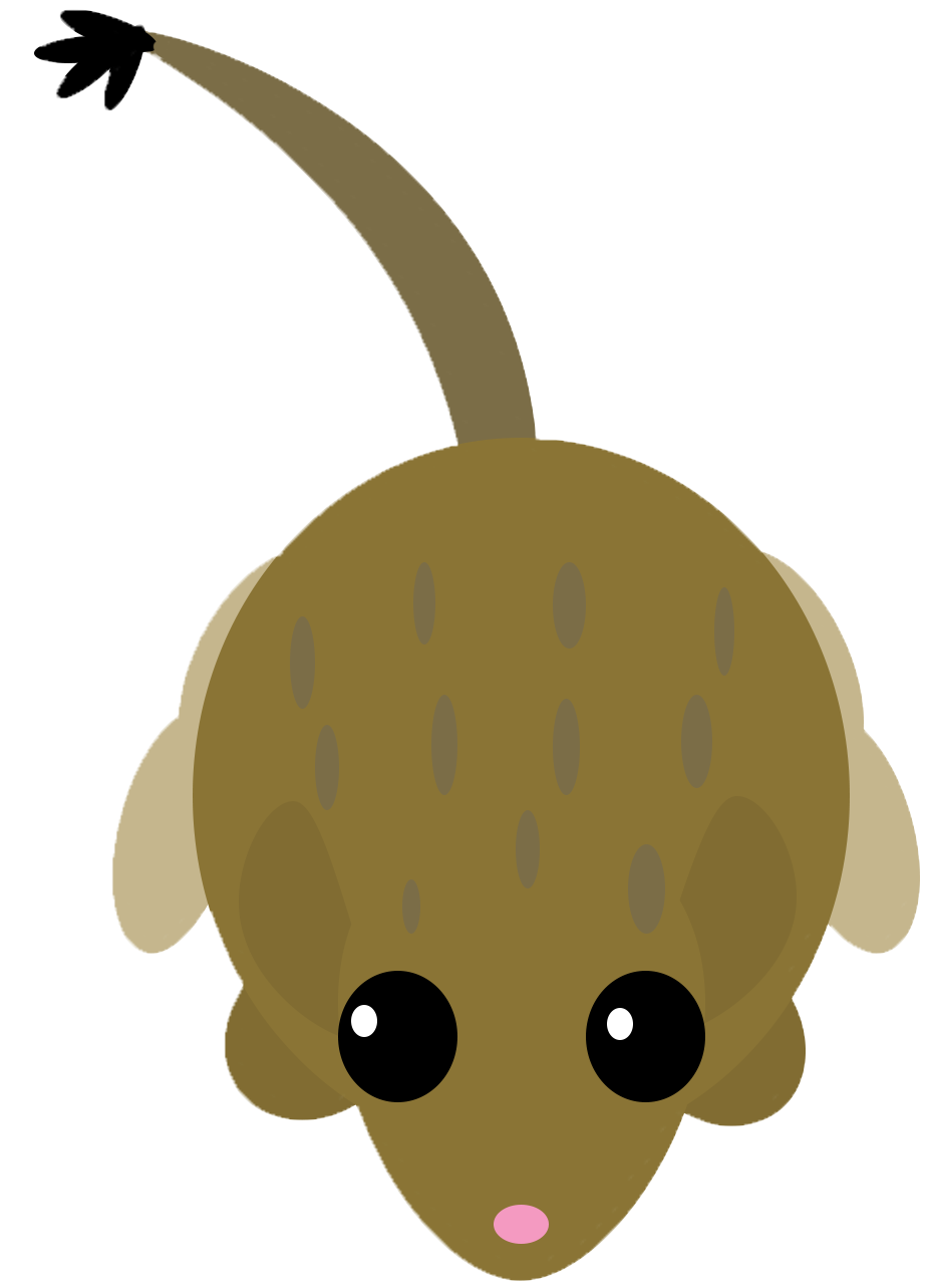 Ears Clipart Kangaroo - Mope Io Kangaroo Rat, HD Png Download PNG with transparent background