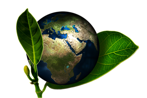 Earth Sprouting Leaf PNG with transparent background